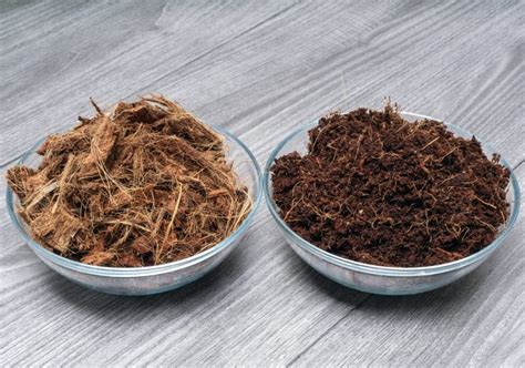 coco coir moisture content